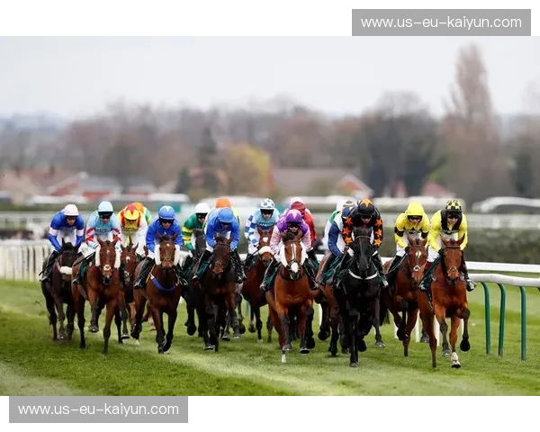 赛马分析：看懂赛场，读懂投资与激情